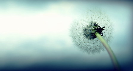 亲爱的，我忘了挽留